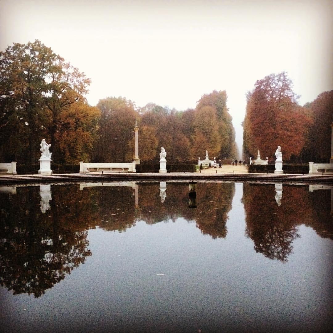 Sanssouci Park in the mist (in Potsdam) (at Sanssouci Park)