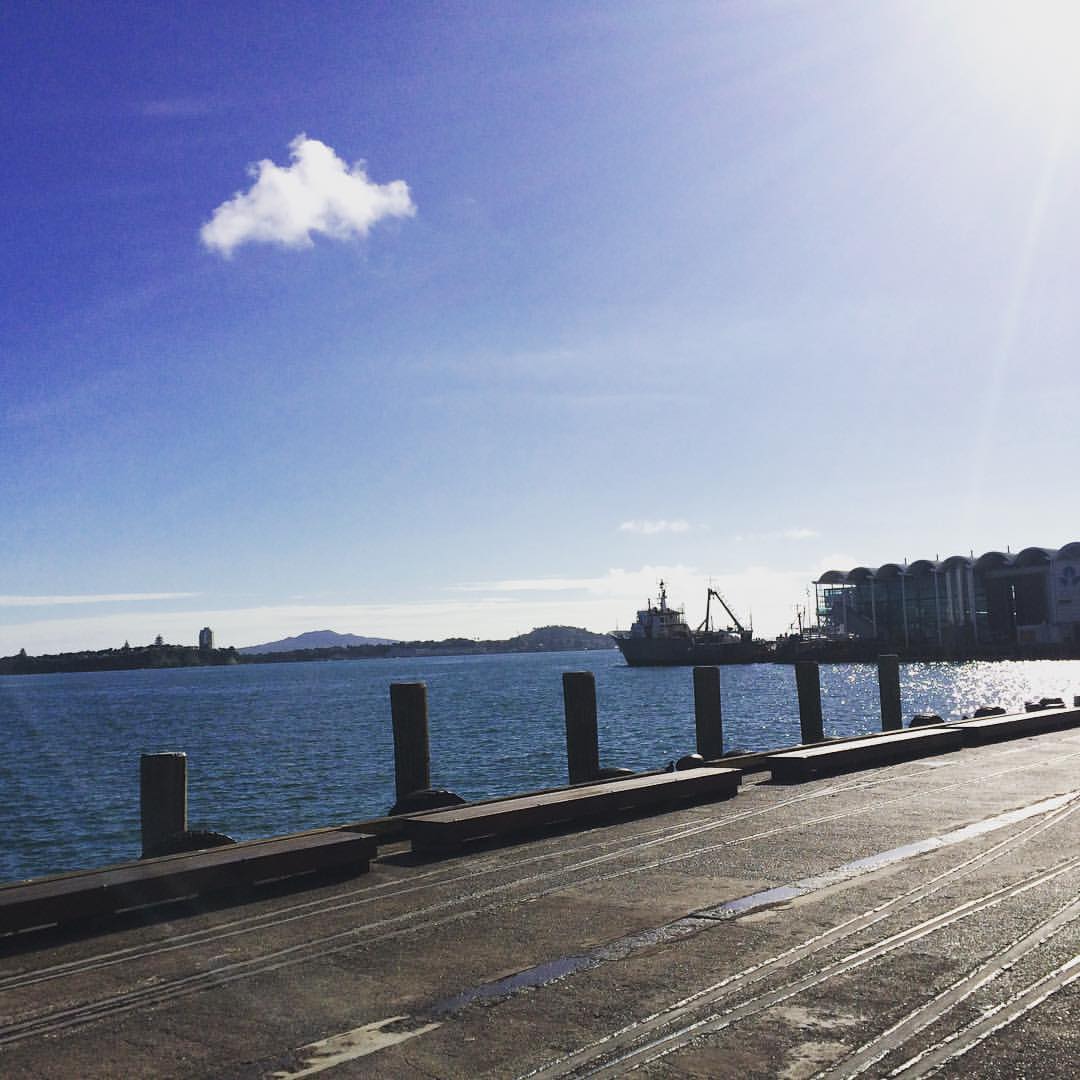 8:30am and 25 degrees?! Are we sure this is Auckland?!