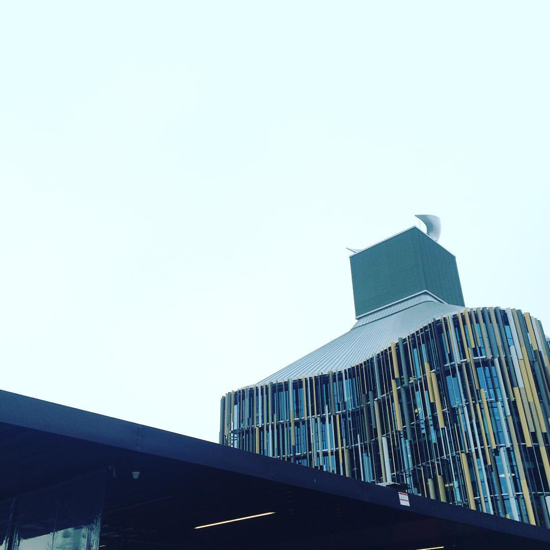 God decided to use the fog to photoshop out the Sky Tower this morning.