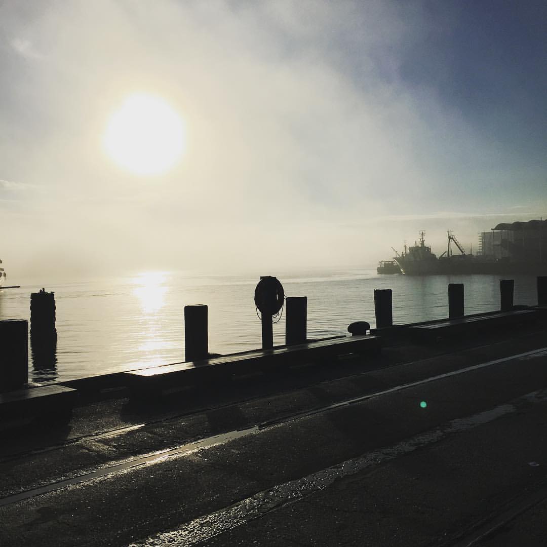 Auckland getting its fog on this morning (at North Wharf)