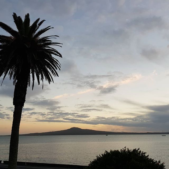 Back on the #grateful train.