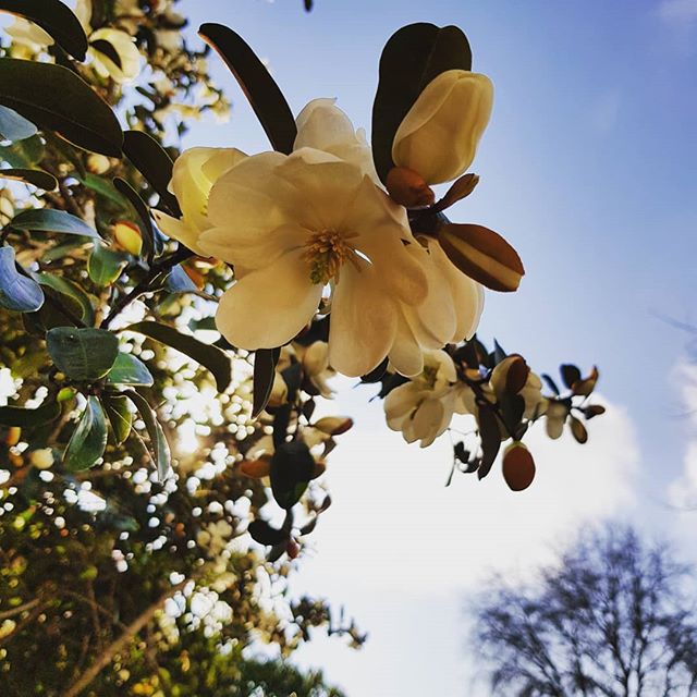 Pretty #grateful to be seeing the start of Spring (finally!)