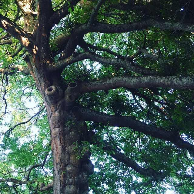 So many things to be #grateful for. There’s something about Spring that I find encourages thoughts of optimism and potential.