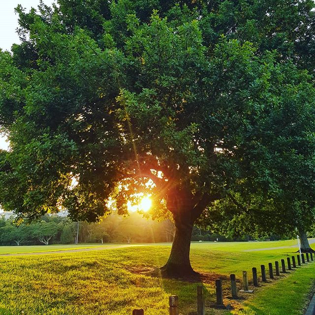 Sure, it may be 97% humidity early in the morning. Still, #grateful summer has a little bit left in it yet!