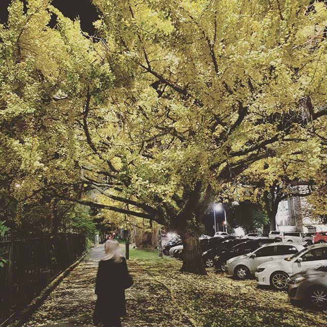 Very #grateful for a birthday dinner out with my amazing wife and parents!