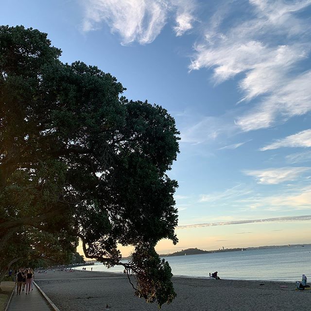 Evening light. #grateful