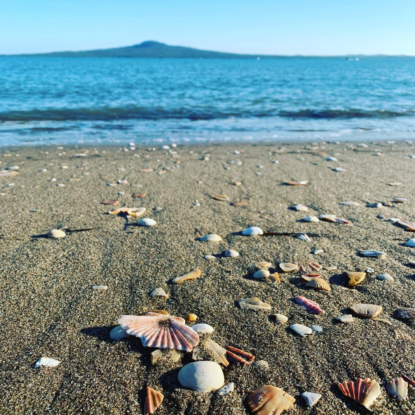 You can almost hear summer coming. #grateful